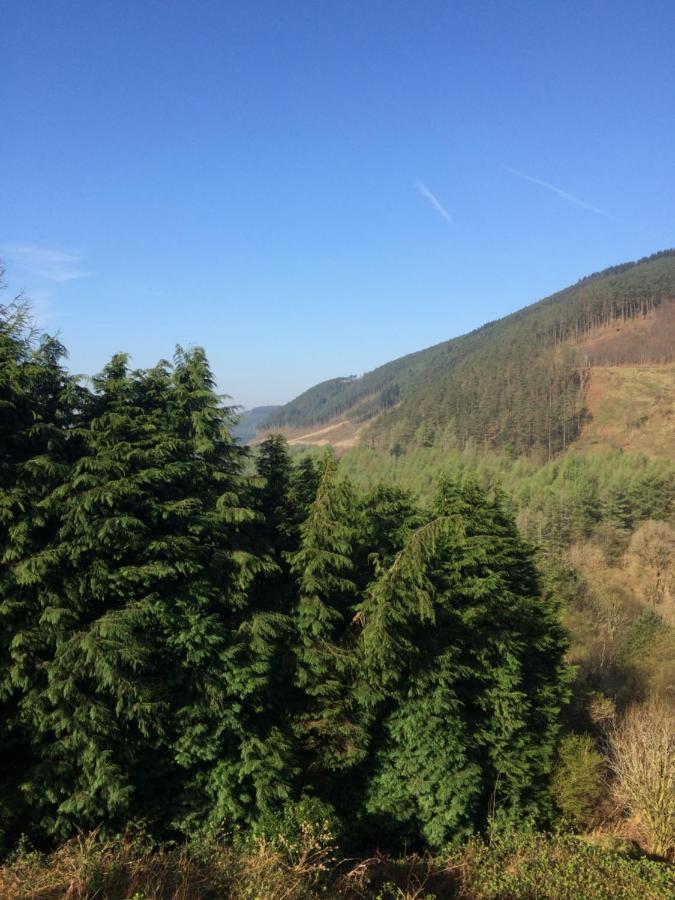 Rowan House Bed Breakfast Main House & Self Contained Self Catering Apartment Cymmer Luaran gambar